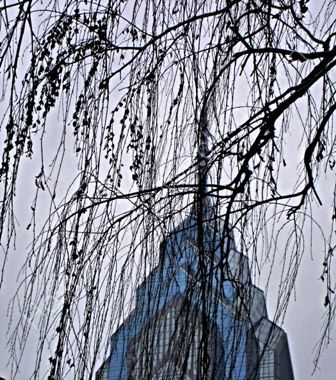 Liberty Place through birches